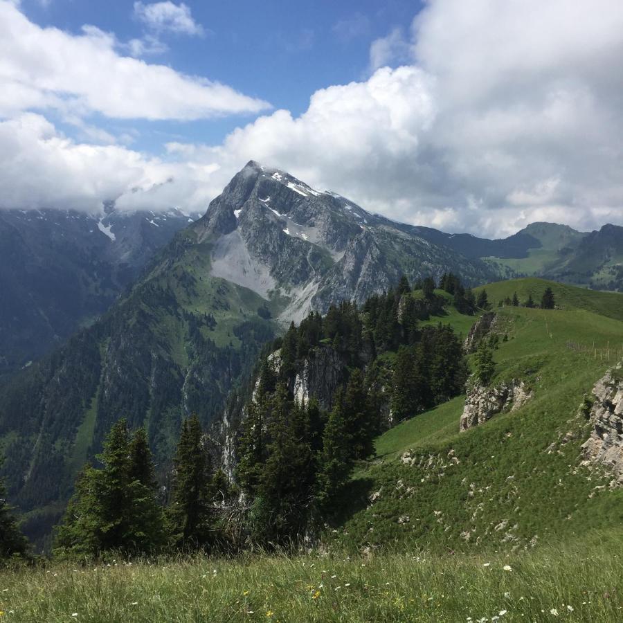 Gasthof Hirschen Oey Bagian luar foto
